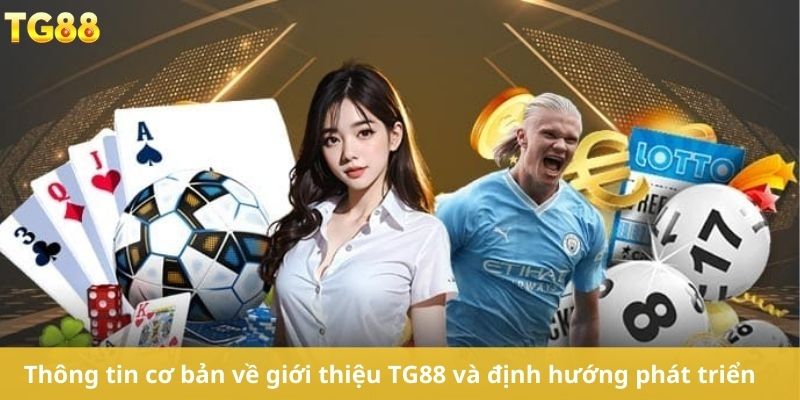 Thông tin cơ bản về giới thiệu TG88 và định hướng phát triển