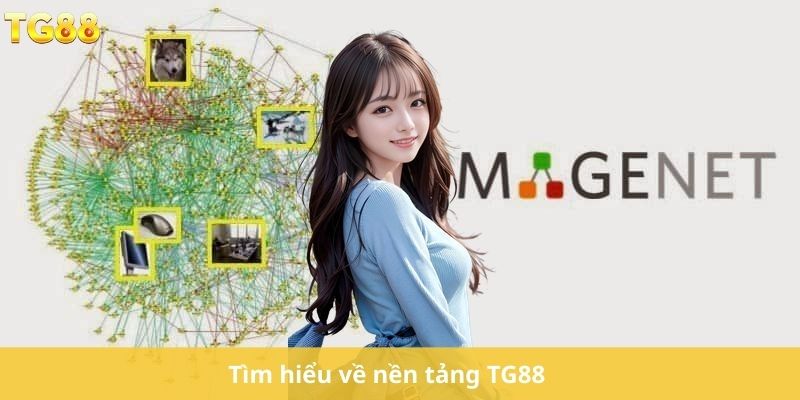 Tìm hiểu về nền tảng TG88 
