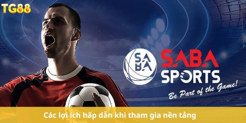 Các lợi ích hấp dẫn khi tham gia nền tảng