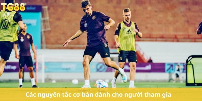 Các nguyên tắc cơ bản dành cho người tham gia