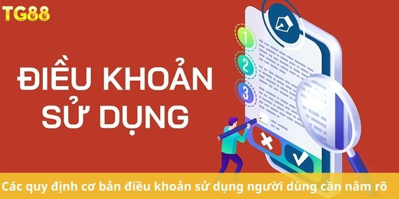 Các quy định cơ bản điều khoản sử dụng người dùng cần nắm rõ