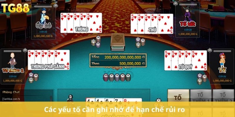 Các yếu tố cần ghi nhớ để hạn chế rủi ro