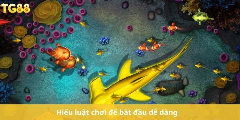 Hiểu luật chơi để bắt đầu dễ dàng
