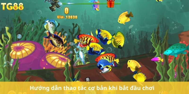 Hướng dẫn thao tác cơ bản khi bắt đầu chơi