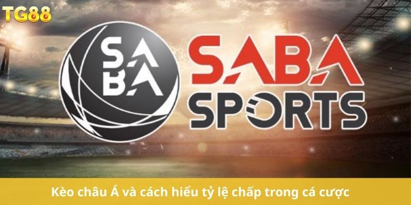 Kèo châu Á và cách hiểu tỷ lệ chấp trong cá cược