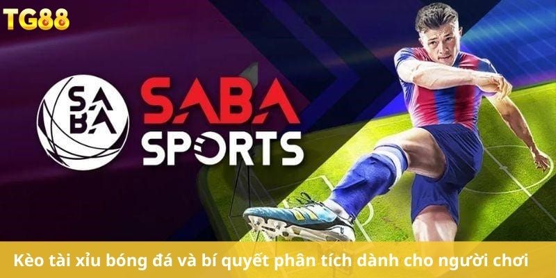 Kèo tài xỉu bóng đá và bí quyết phân tích dành cho người chơi