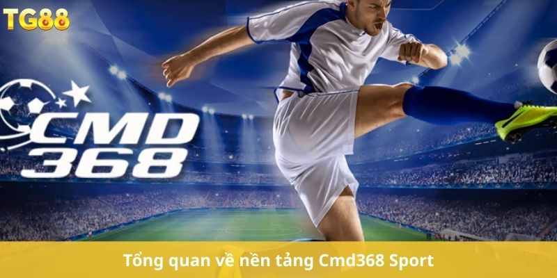 Tổng quan về nền tảng Cmd368 Sport